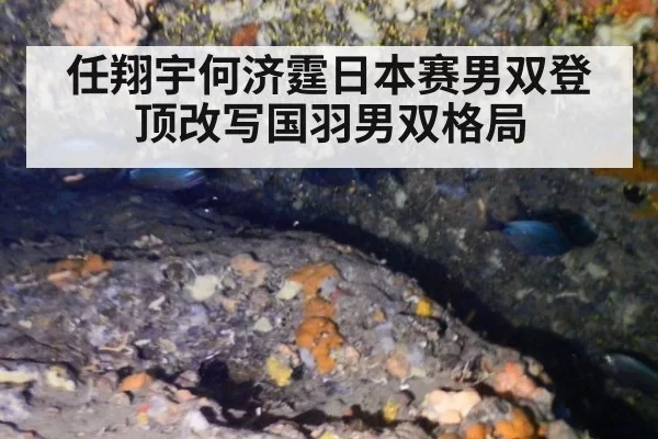 任翔宇何济霆日本赛男双登顶改写国羽男双格局